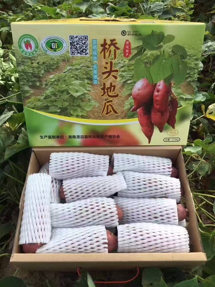海南澄迈桥头富晒精品地瓜