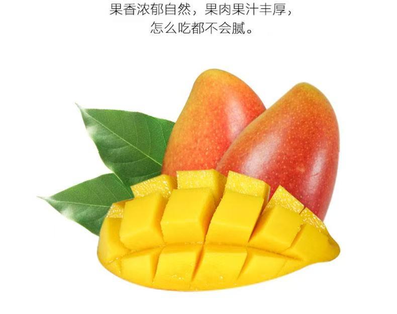 海南三亚树上熟贵妃芒果，5斤/8斤装，京东顺丰包邮